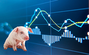 生猪市场最新动态，变化中的力量与自我提升的自信