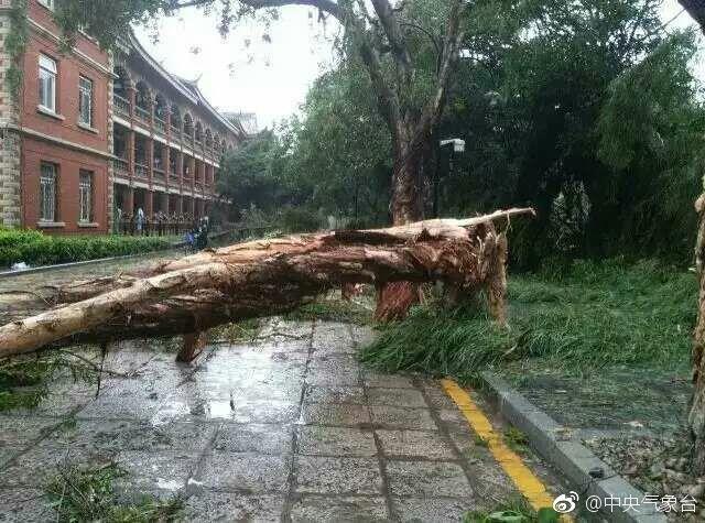 厦门台风最新信息及实时更新，你准备好了吗？