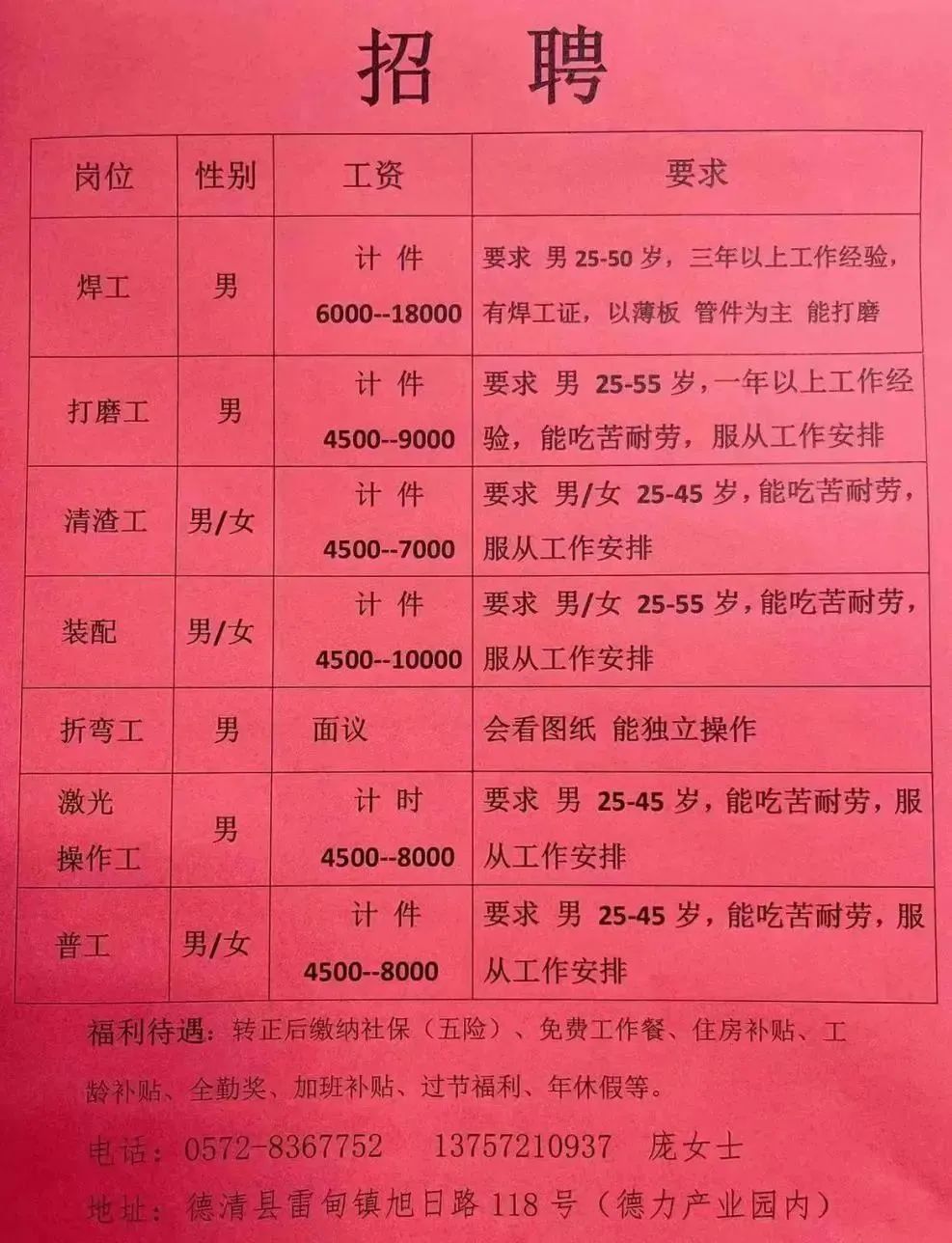 肥城最新短期工作招聘探索，小巷中的职业机遇