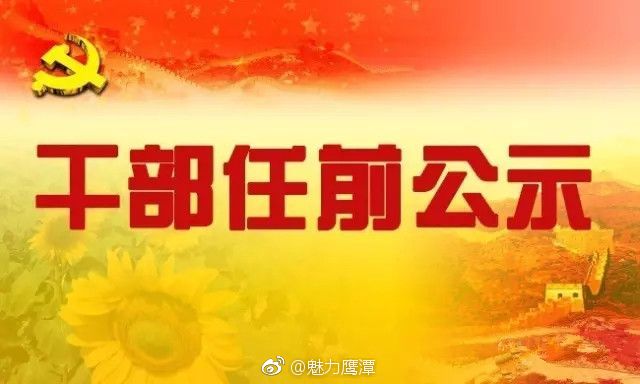 鹰潭市最新干部公示，多维度视角下的观点阐述与分析