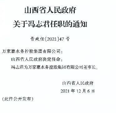 信息技术服务