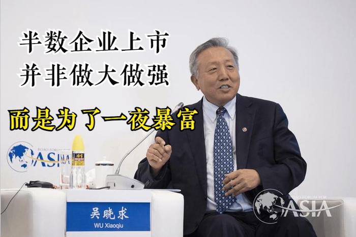 吴晓求最新言论引发热议，深度解读其观点与影响