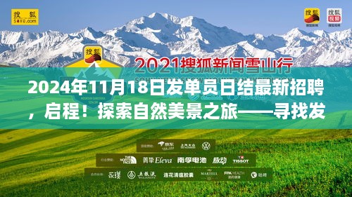 新联在线最新动态，心灵与自然的奇妙之旅