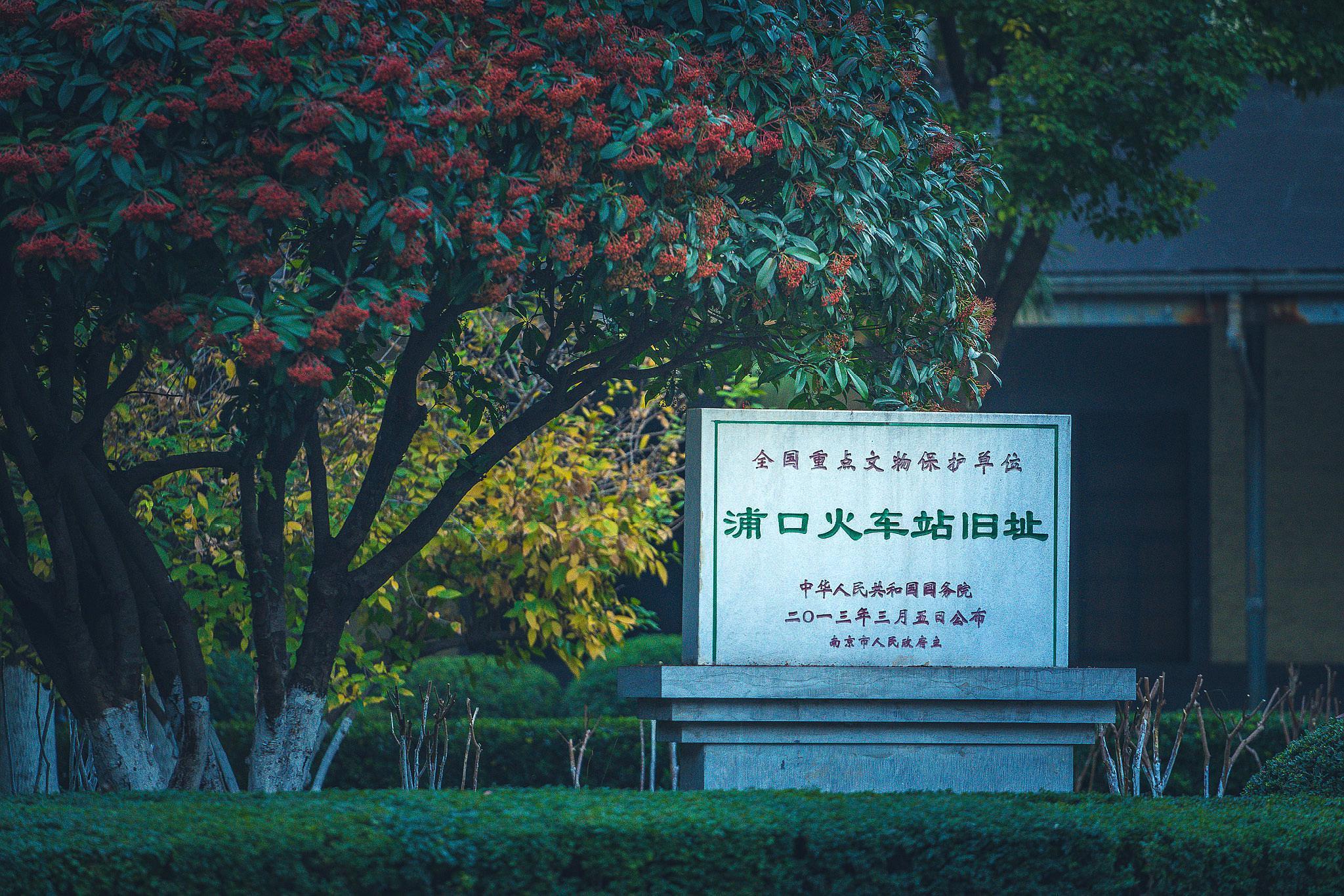 衡阳滨江新区最新消息,衡阳滨江新区最新消息，一场与自然美景的邂逅，寻找内心的宁静之旅