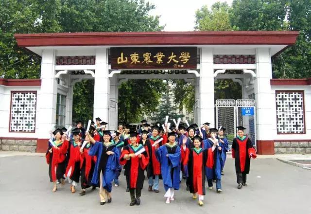 长城影视股票最新动态，传媒巨头铸就辉煌影像之路